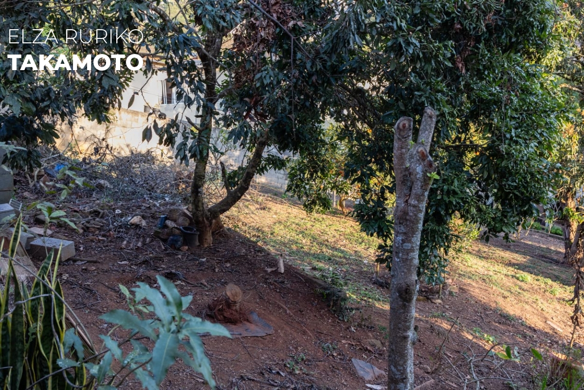 Chácara em , Mairinque - Foto 14